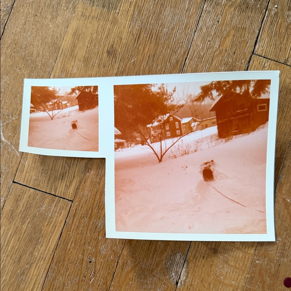 Vintage Photo Collection - Picture 3 of 11